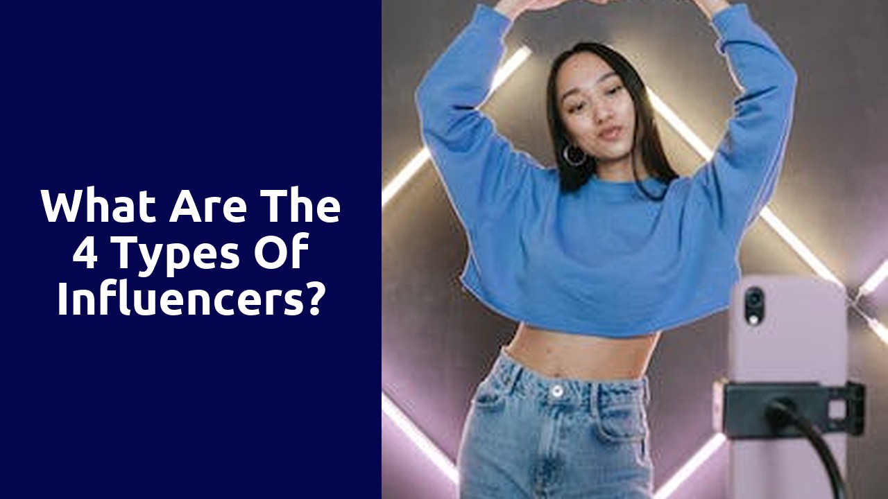 What Are The 4 Types Of Influencers?