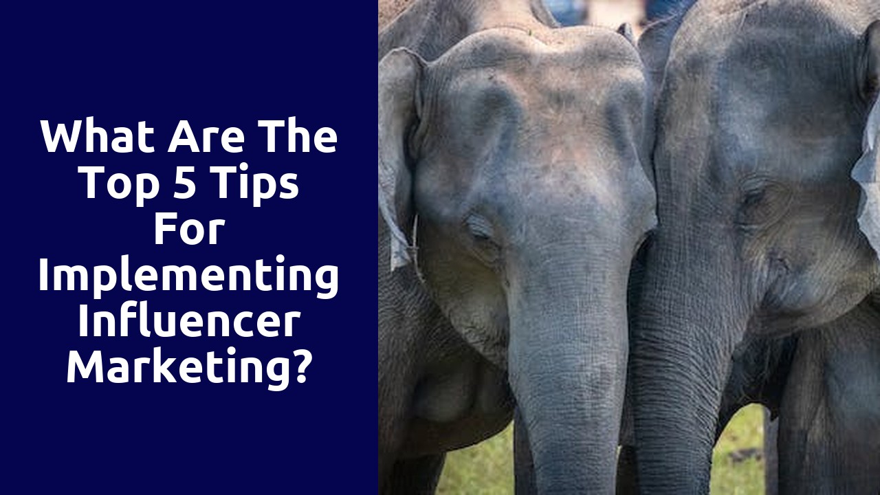 What Are The Top 5 Tips For Implementing Influencer Marketing?